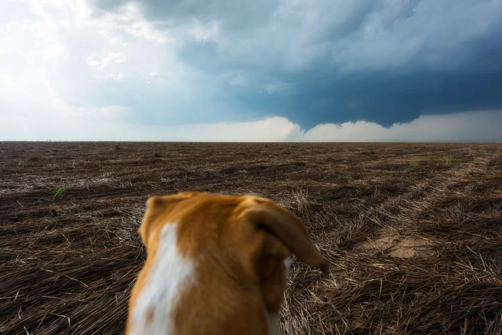 In the blink of an eye, it happened. A tornado has dropped down from our wall cloud and touched down in the perfect spot. Not a single home or city nearby. It's a beautiful moment as nature is putting on her best display and there's not a chance of anyone getting hurt or having their homes damaged.