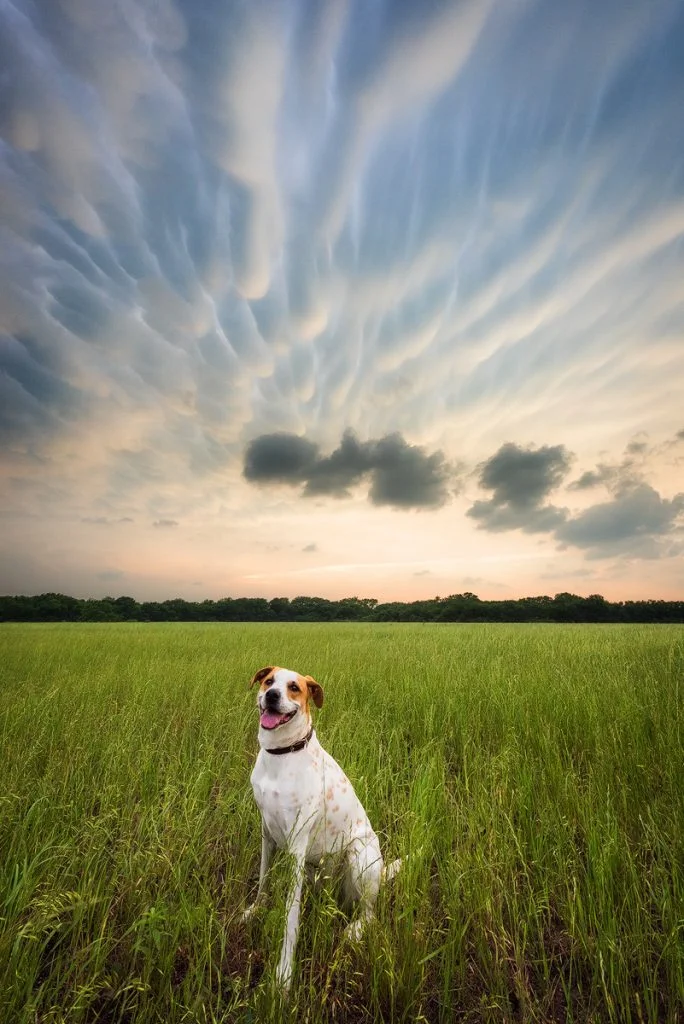 There are so many magical things to see out while chasing storms besides a tornado, like these mammatus clouds found on the back side of our storm.
