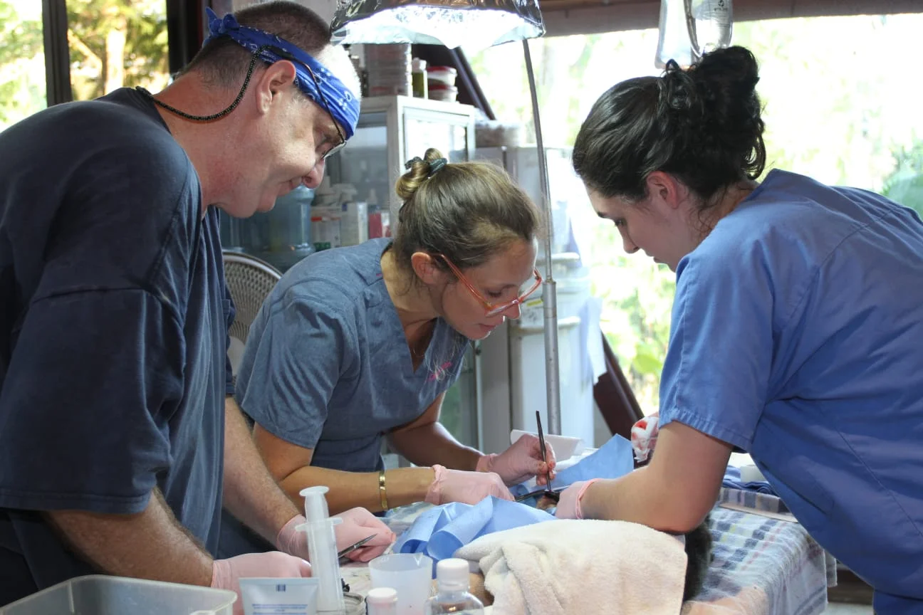 WhatsApp Image 2018-06-17 at 4.12.21 PM.jpeg