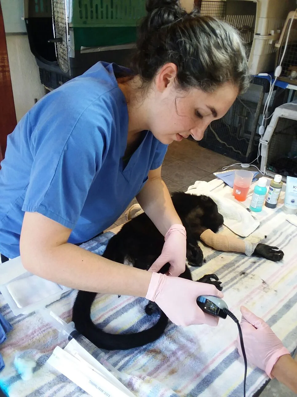 WhatsApp Image 2018-03-13 at 8.38.31 AM.jpeg