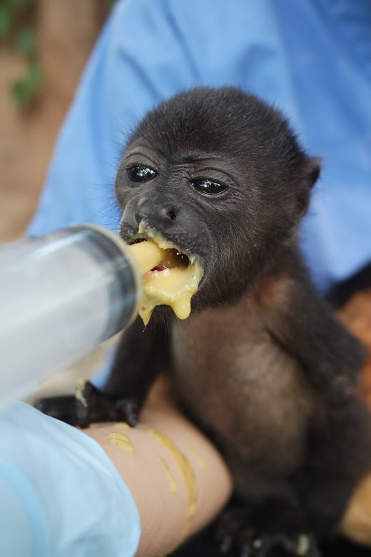 Mojo eating.JPG