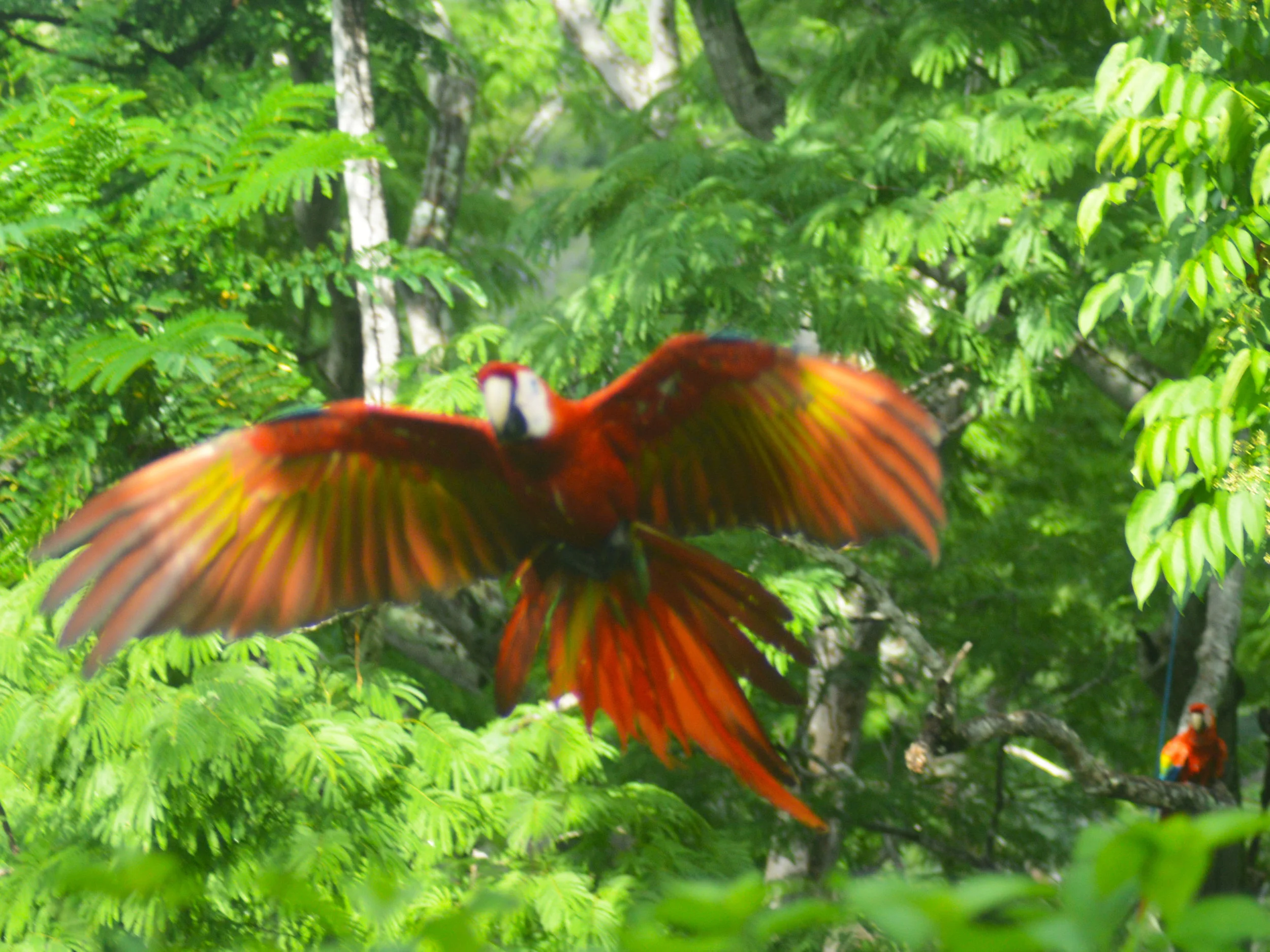 retouched - CU In flight.jpg