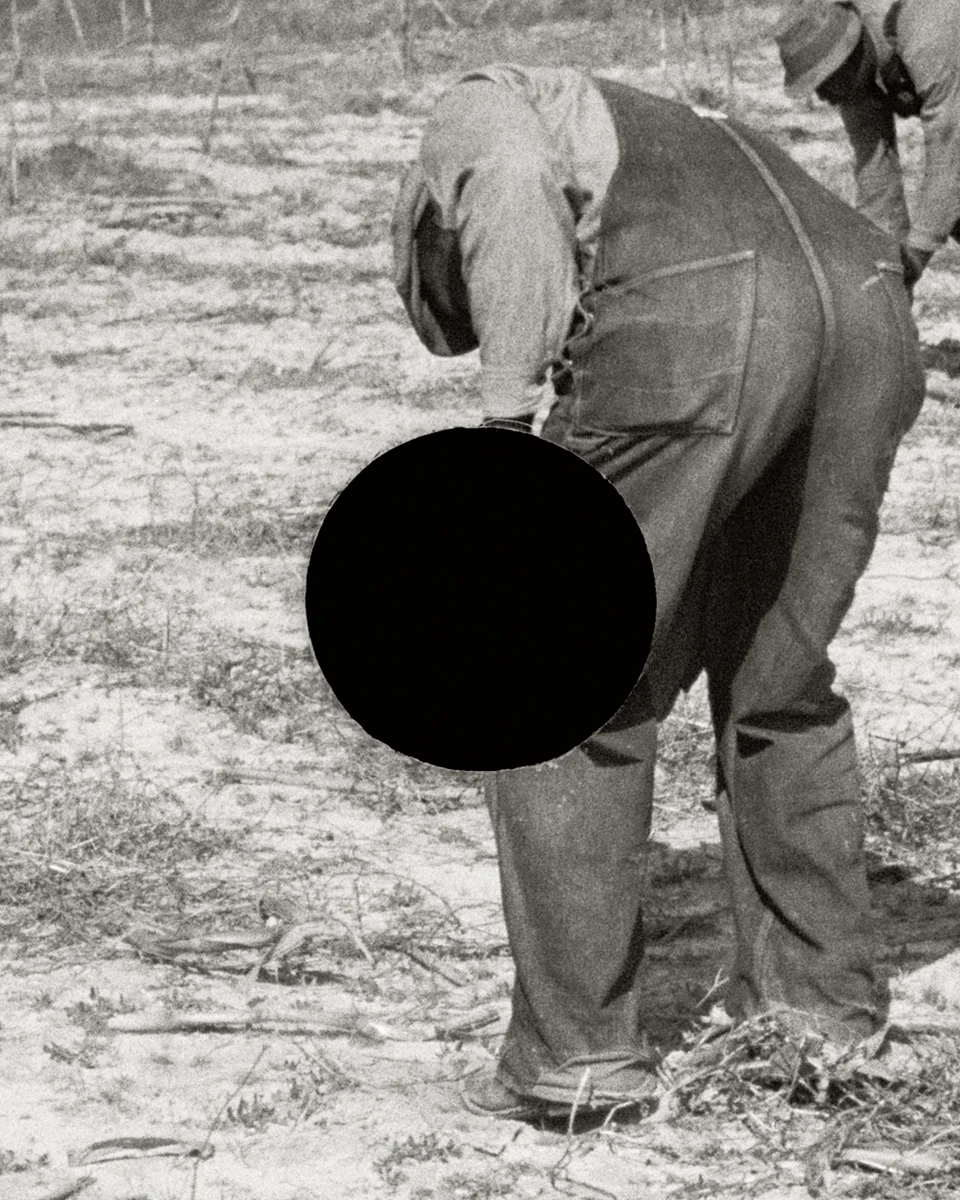 76. Planting slash pine, Macon County, Alabama. 1937. Arthur Rothstein. 8a08431. (detail)
