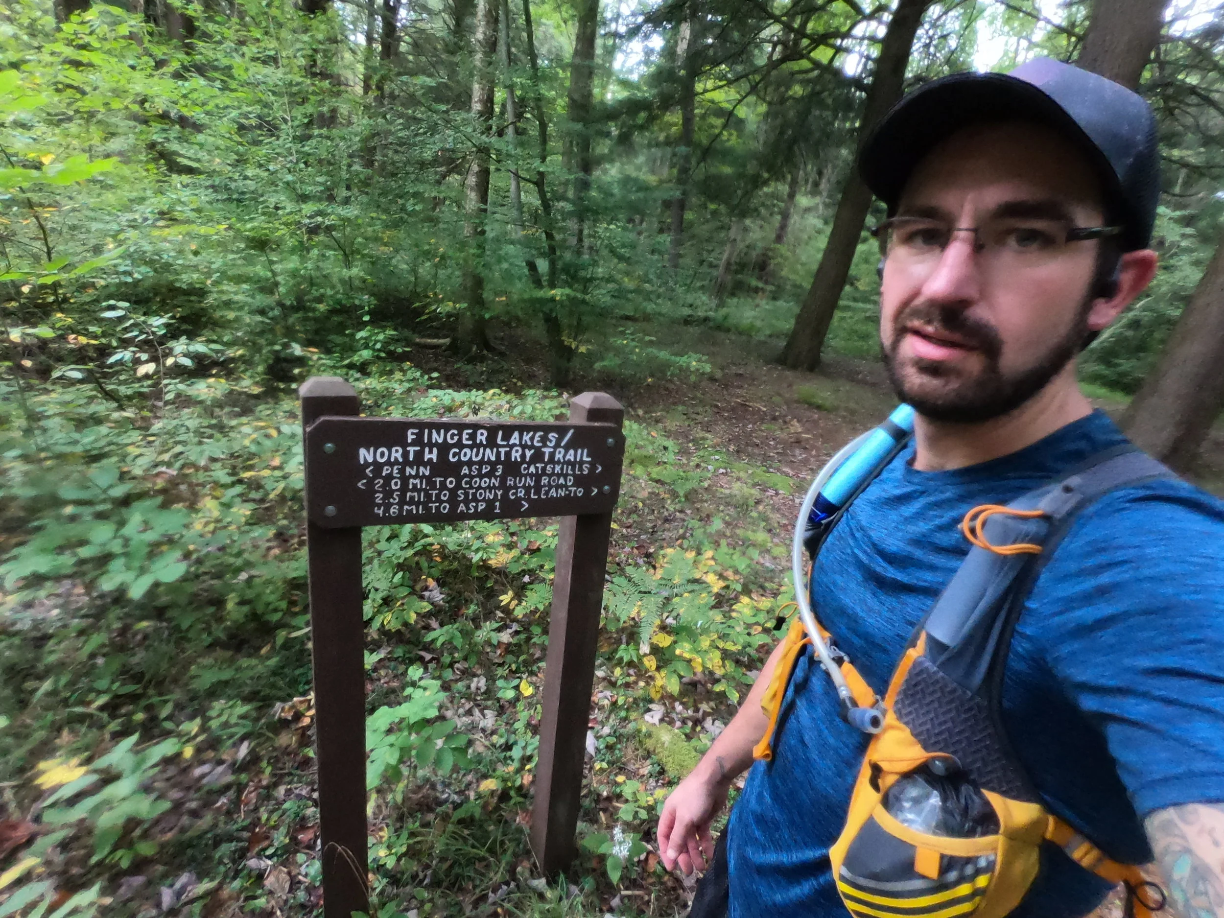 Allegany State Park North Country Trail Out and Back