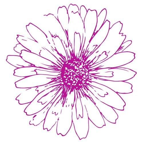 Handdrawn Circle Logo (2).jpg