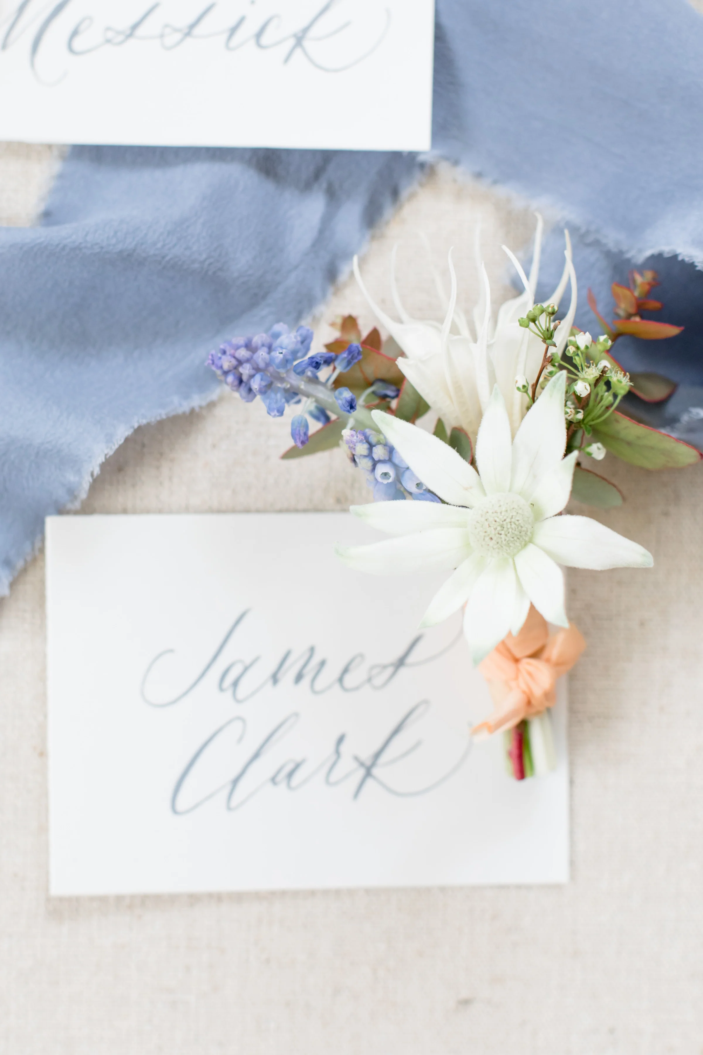 The-Petal-Report-Gadsden-House-Kailee-DiMeglio-Photography-8340.jpg