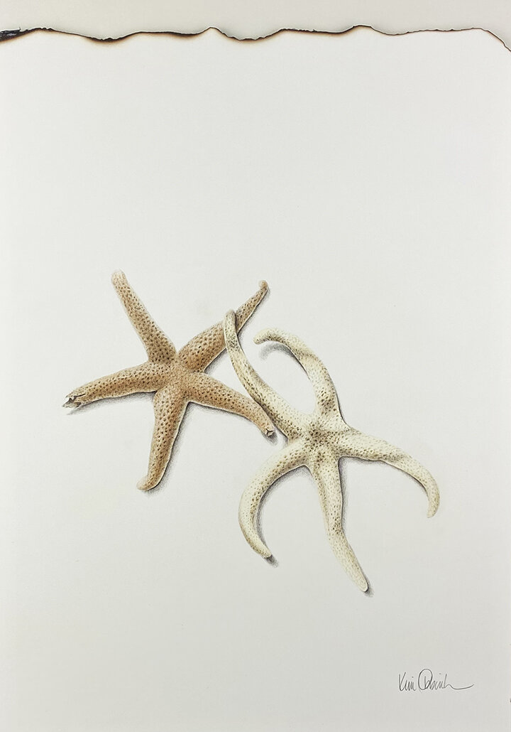 Starfish