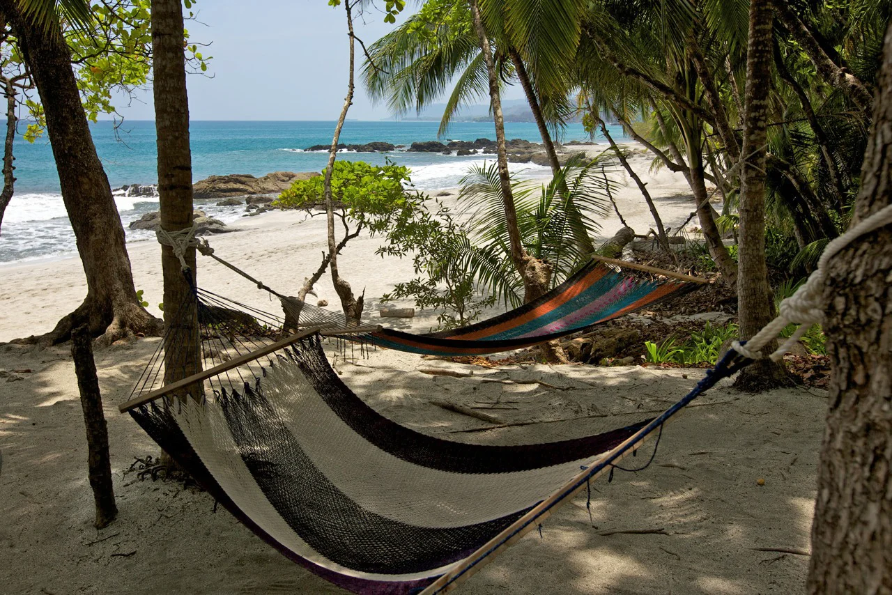 Hammocks.jpg