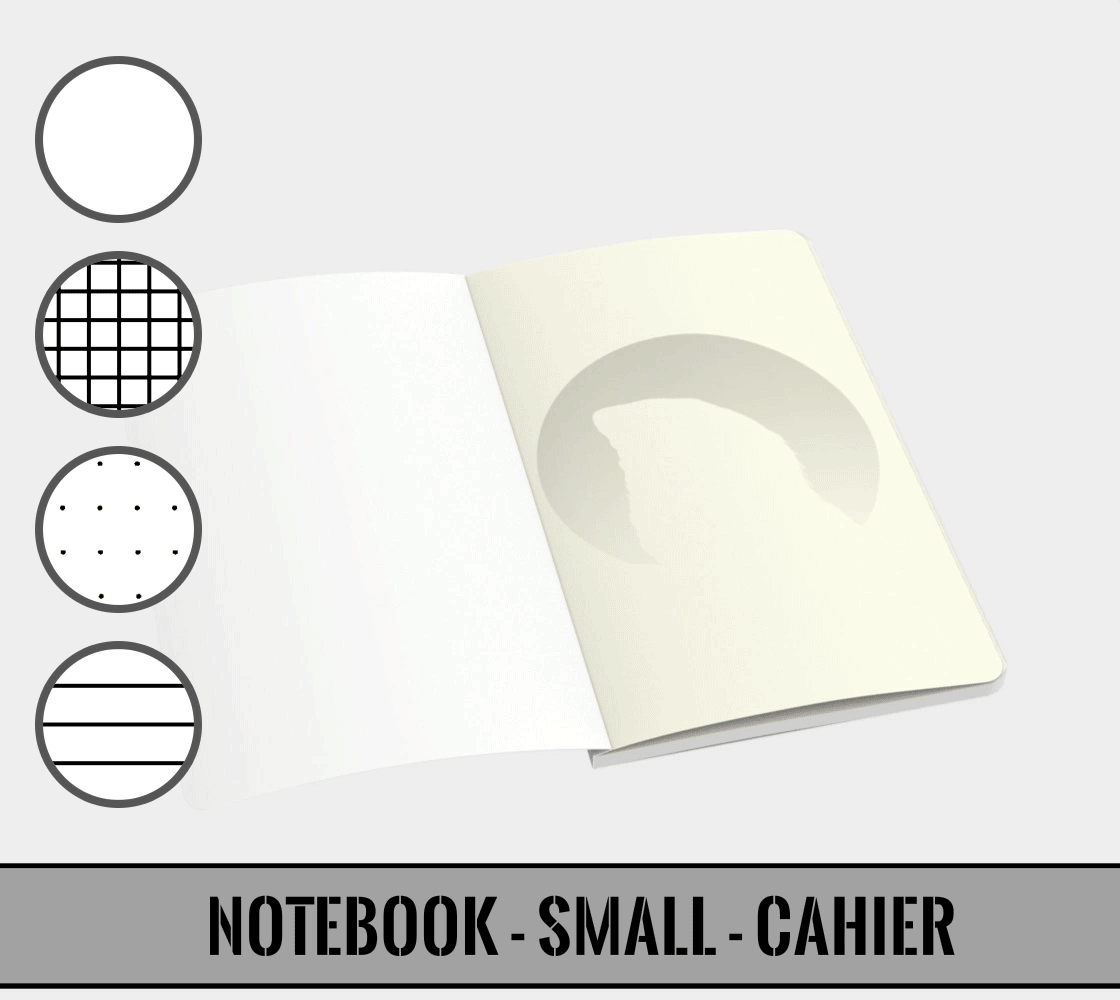 Notebook_LEM_20181028.gif