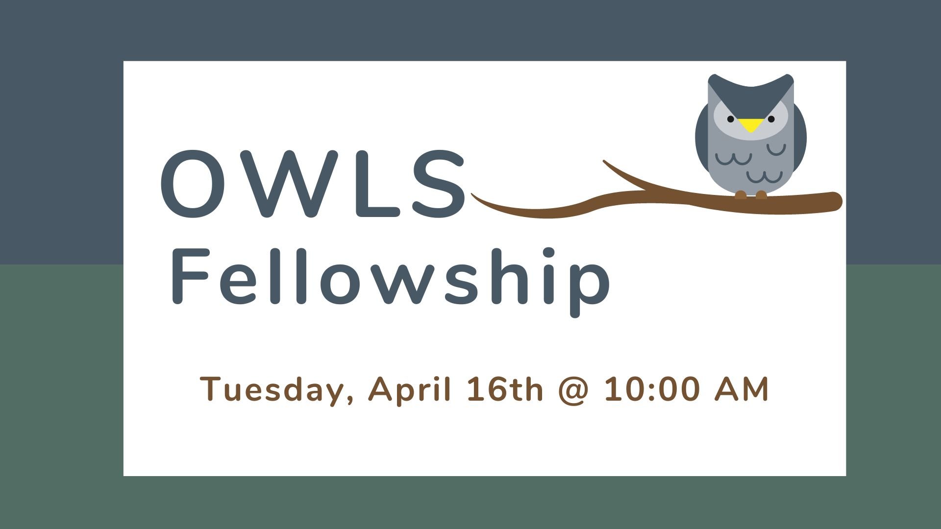 OWLS Fellowship.jpg