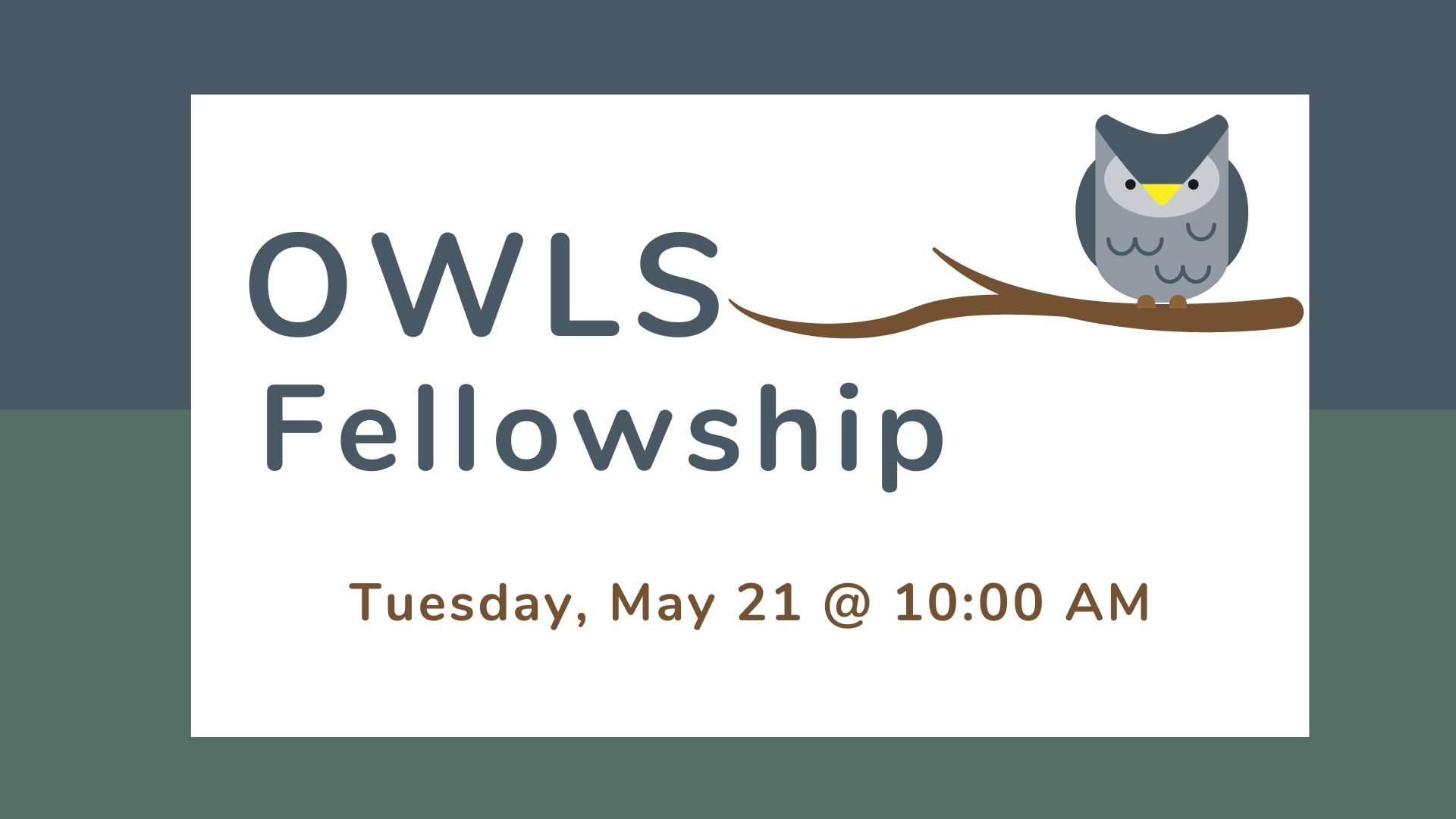 OWLS Fellowship.jpg