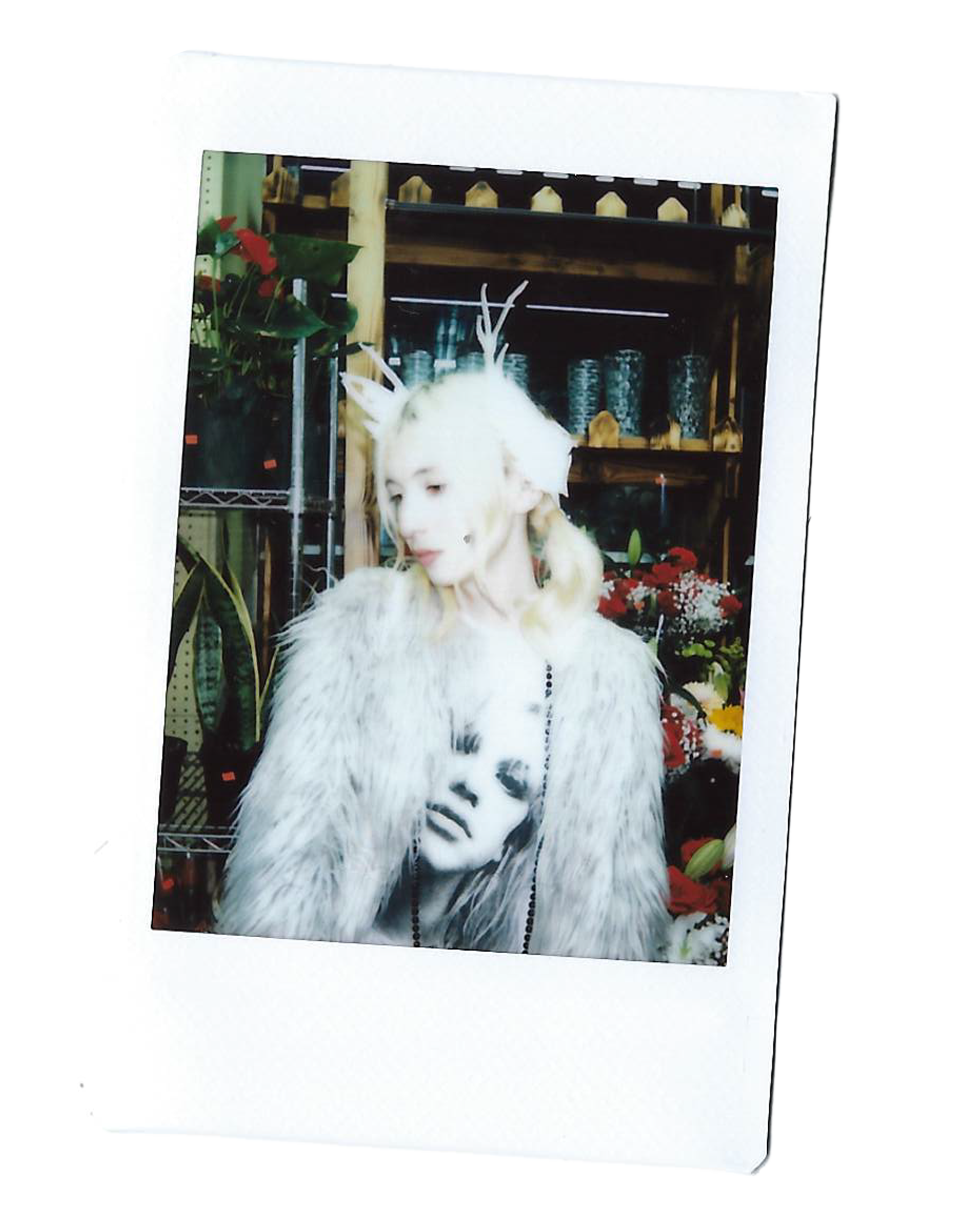 kylie bodega after market.png