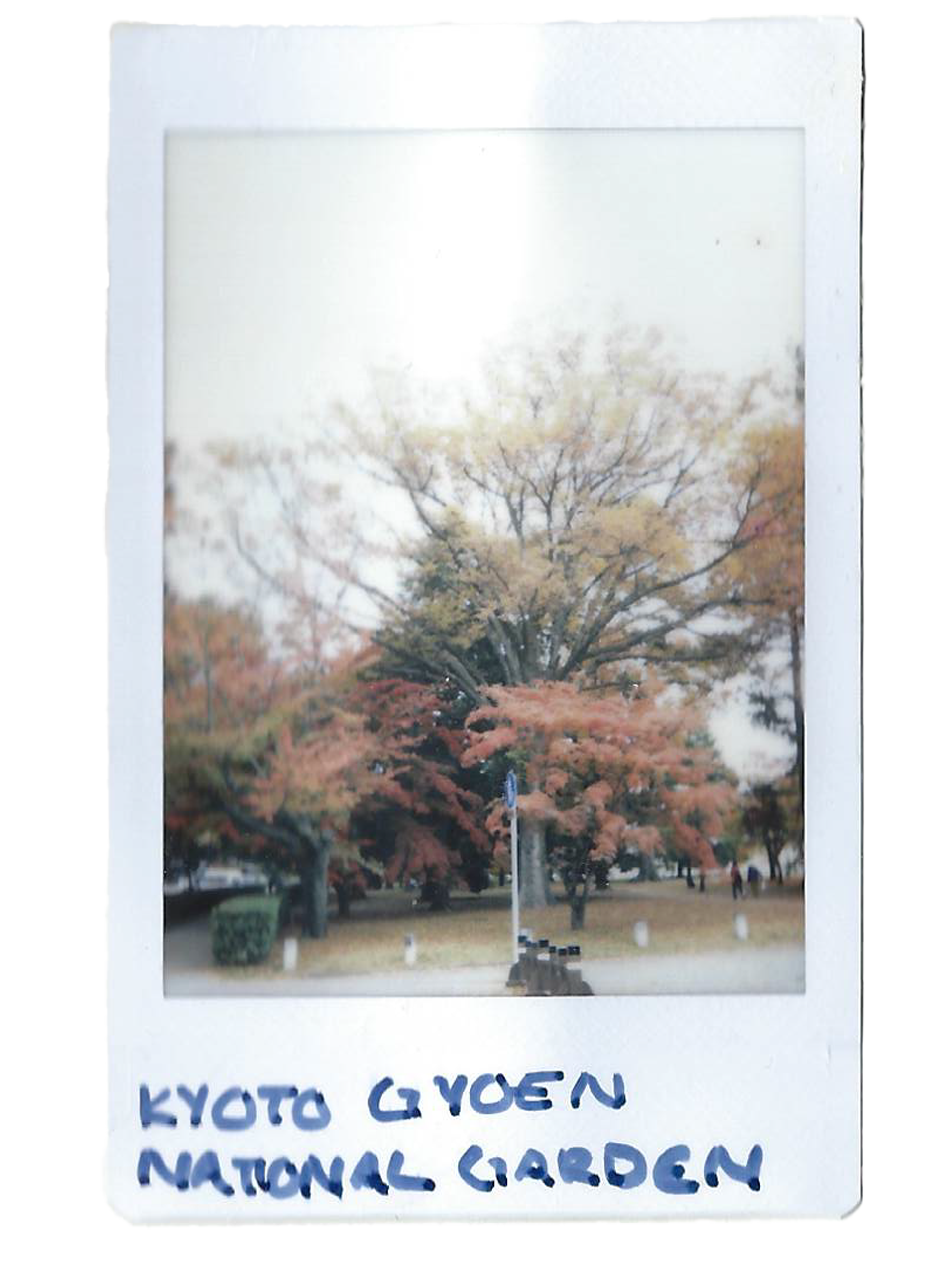 kyoto national garden.png