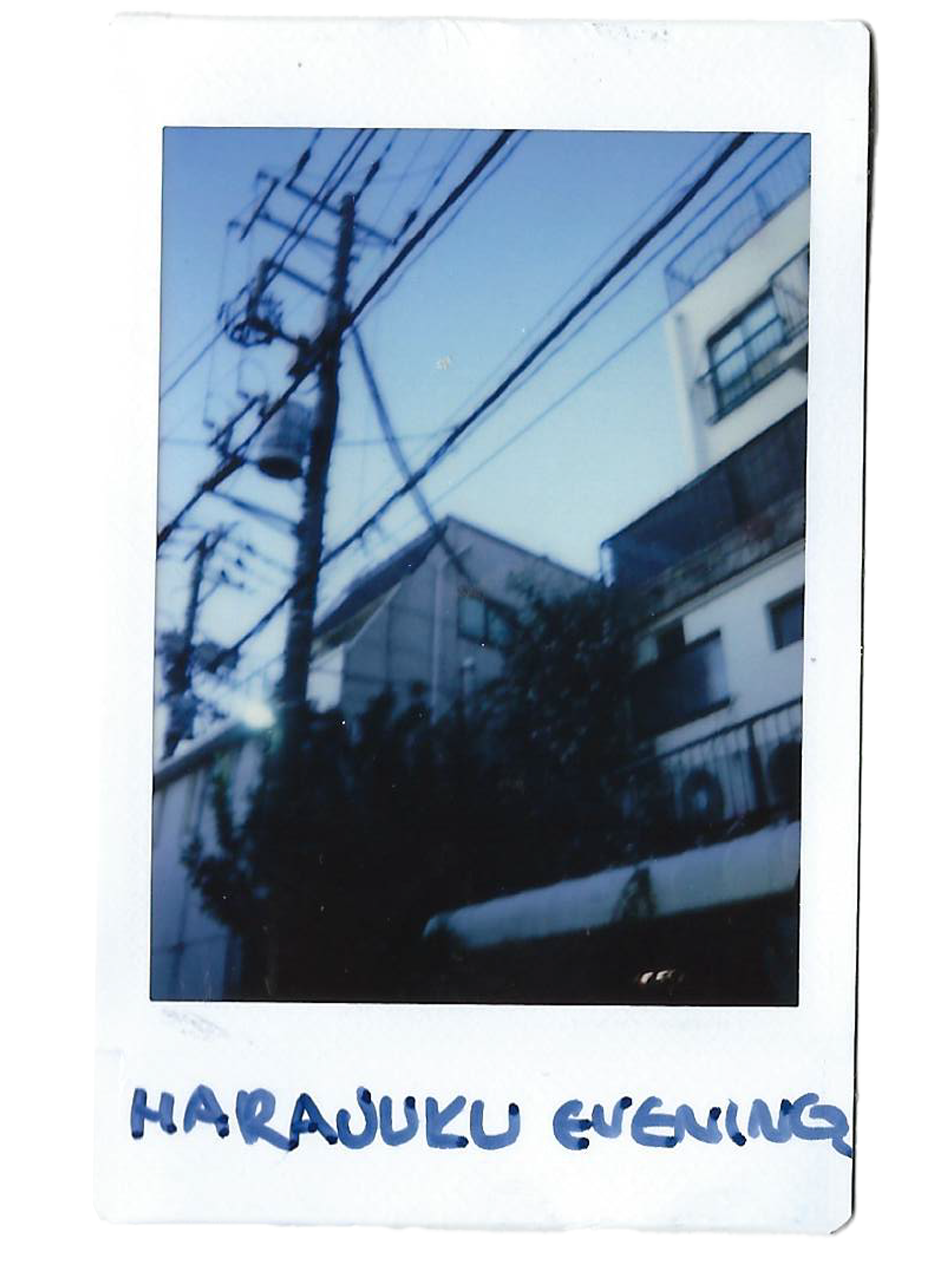 harajuku evening.png
