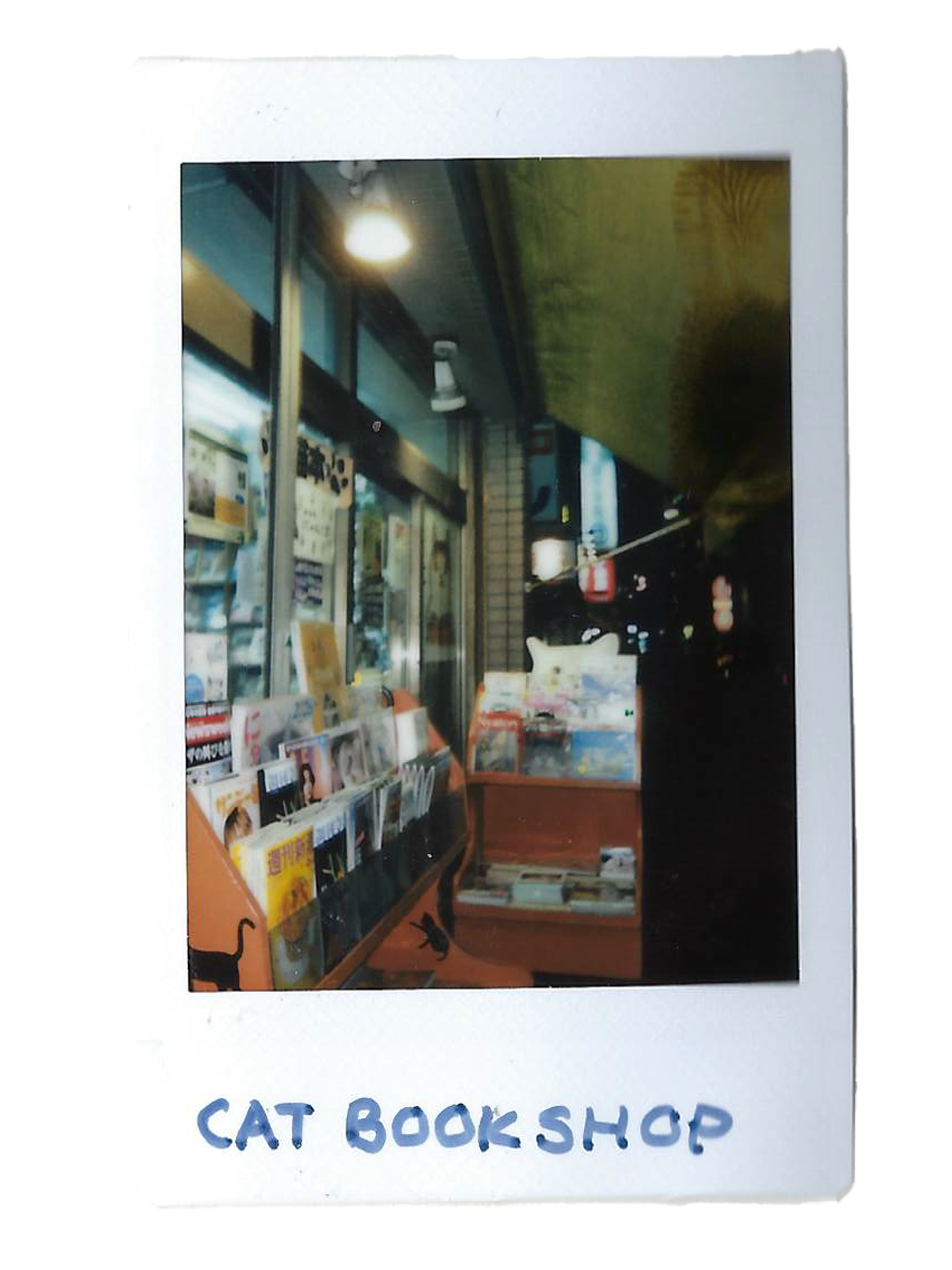 cat bookshop.png