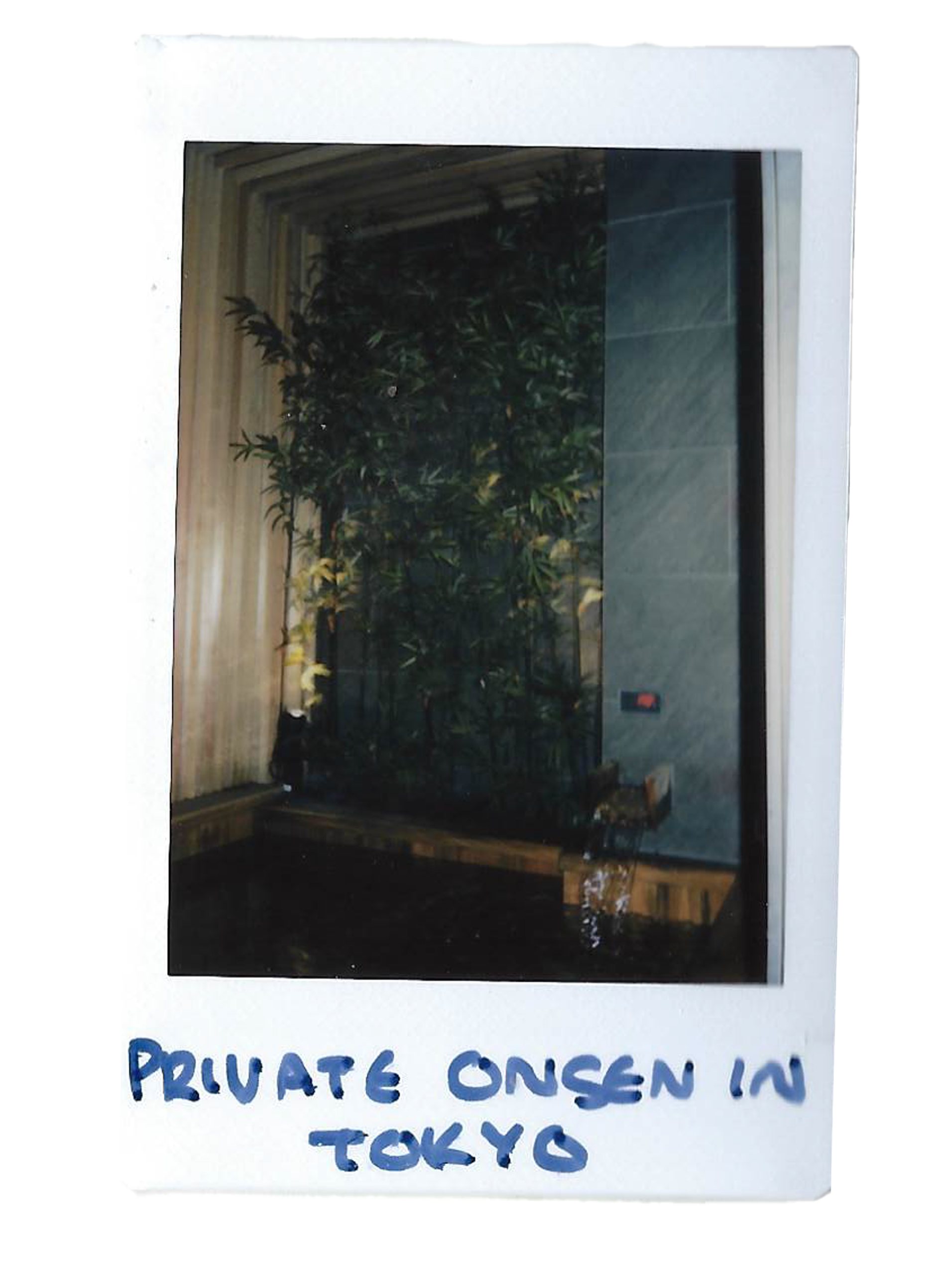 private onsen in tokyo.png