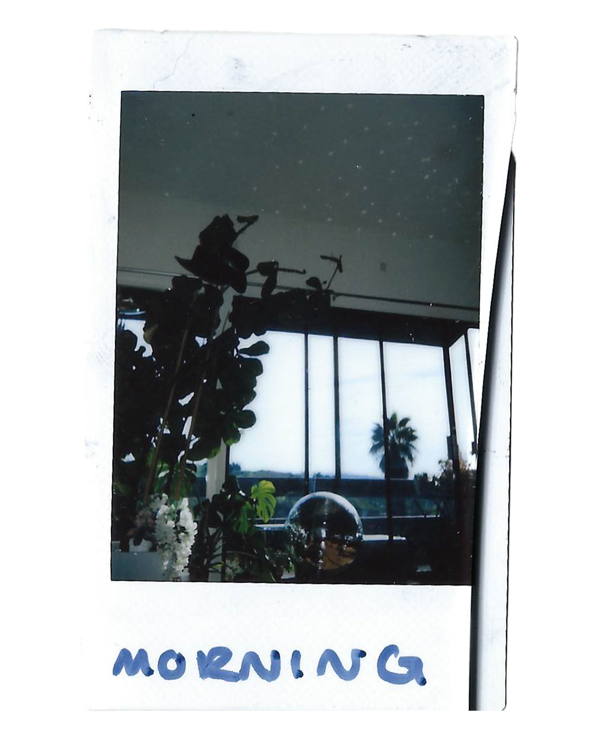 morning LA.png
