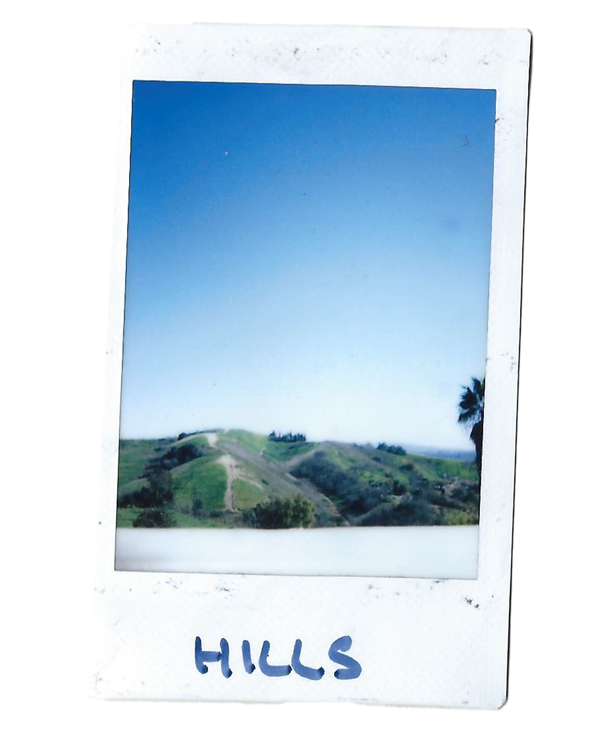 LA hills.png