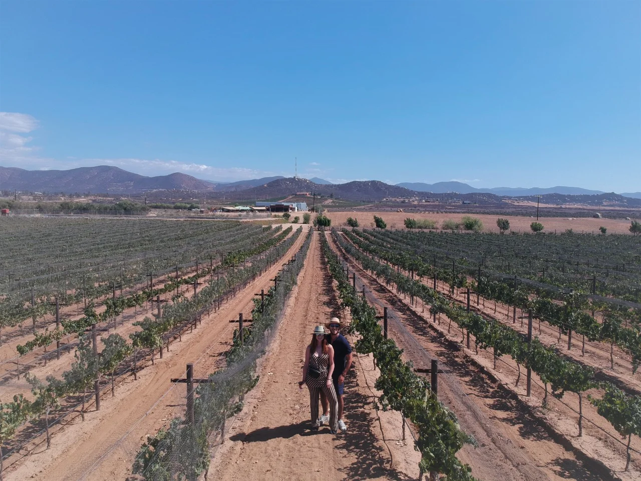 Valle de Guadalupe