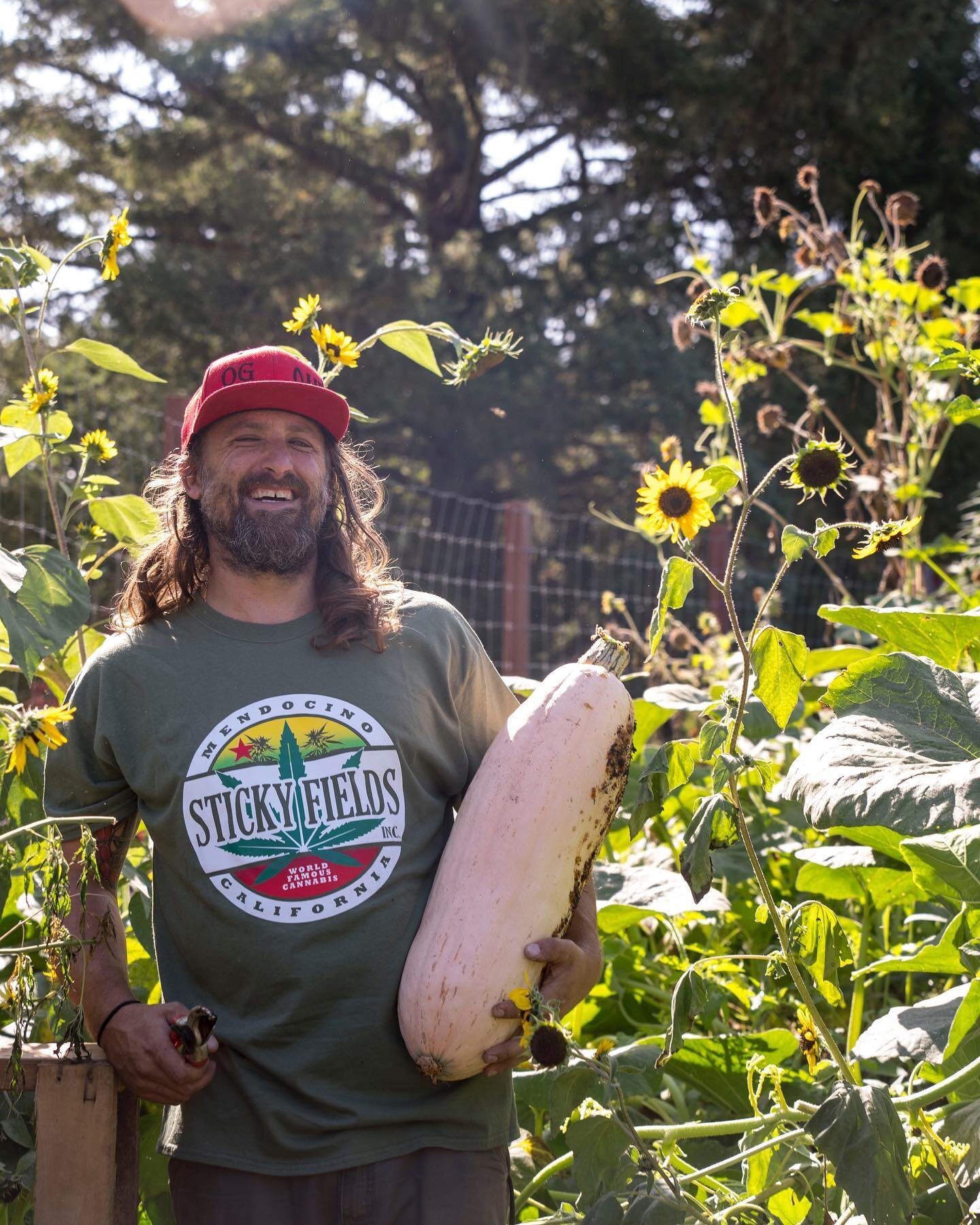 Sticky Fields wants to tour your farm before harvest 2020!
Before harvest 2020 Jesse, Founder of Sticky Fields would like to take a tour of at least three cannabis farms in California. These tours will be filmed for the upcoming Sticky Fields YouTube
