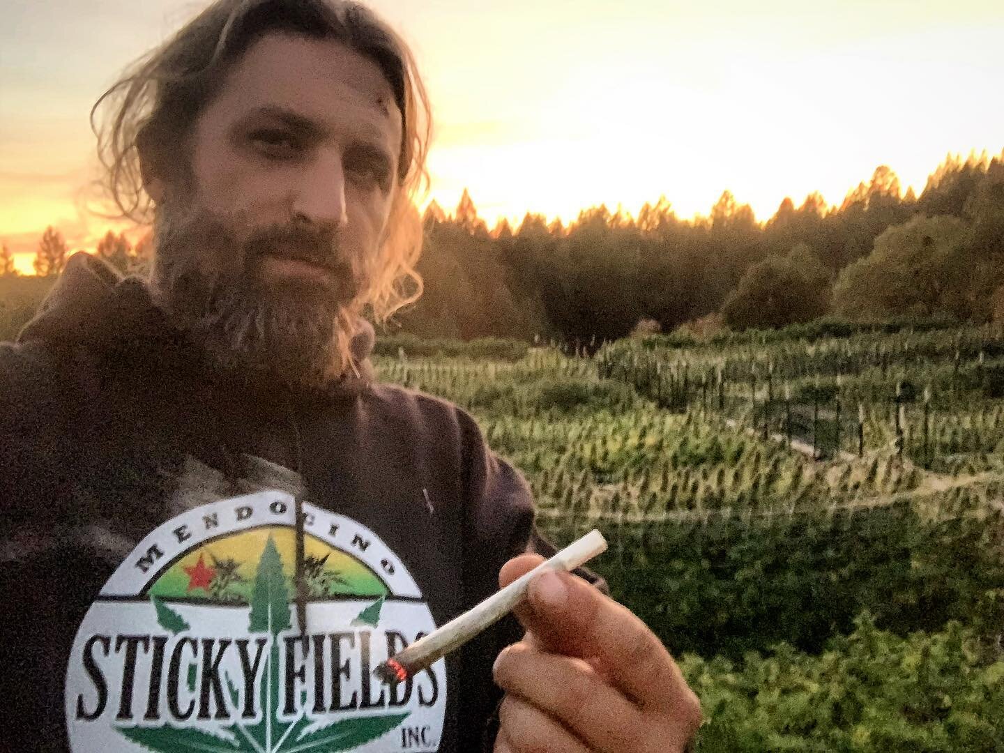 I got that Sticky What you smoking on? Smoked out sunday 🌳🌳🌳💨💨💨💨 @stickyfields #stickyfields