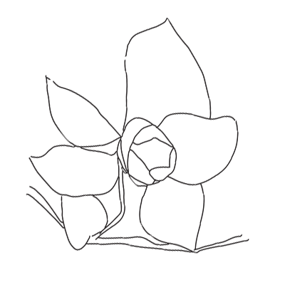 Flower_v01.png
