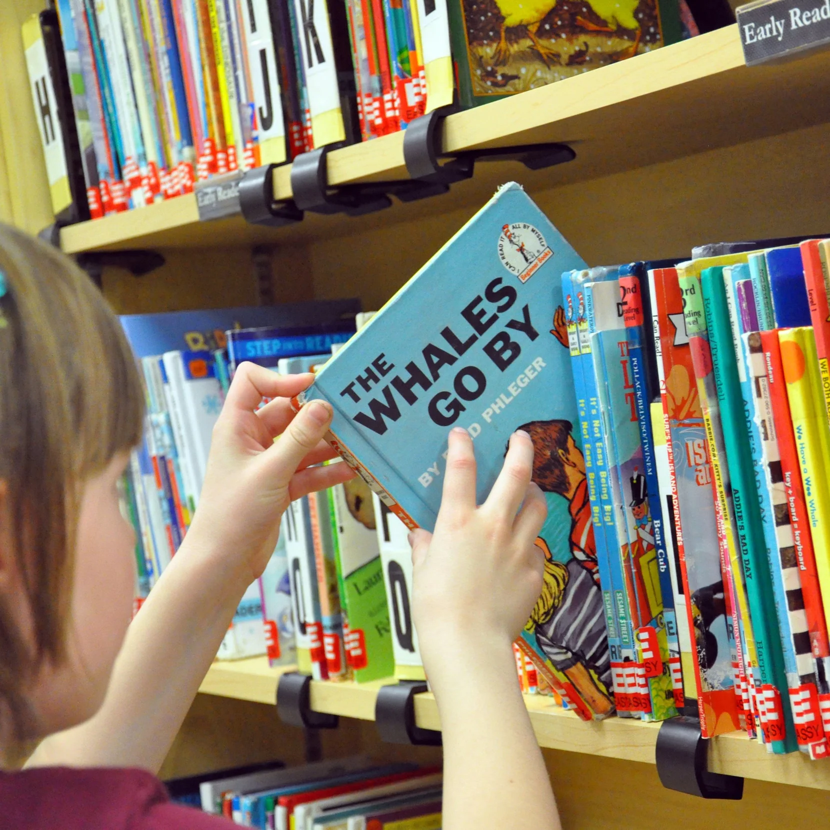 library.jpg