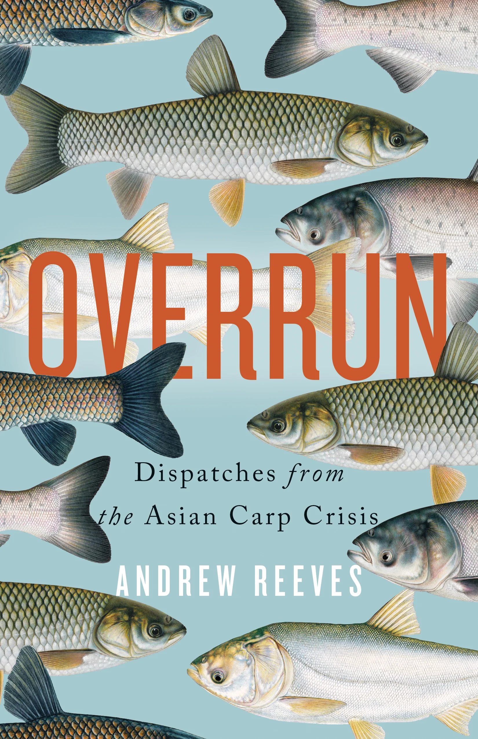 Overrun_cover_hi-res.jpg