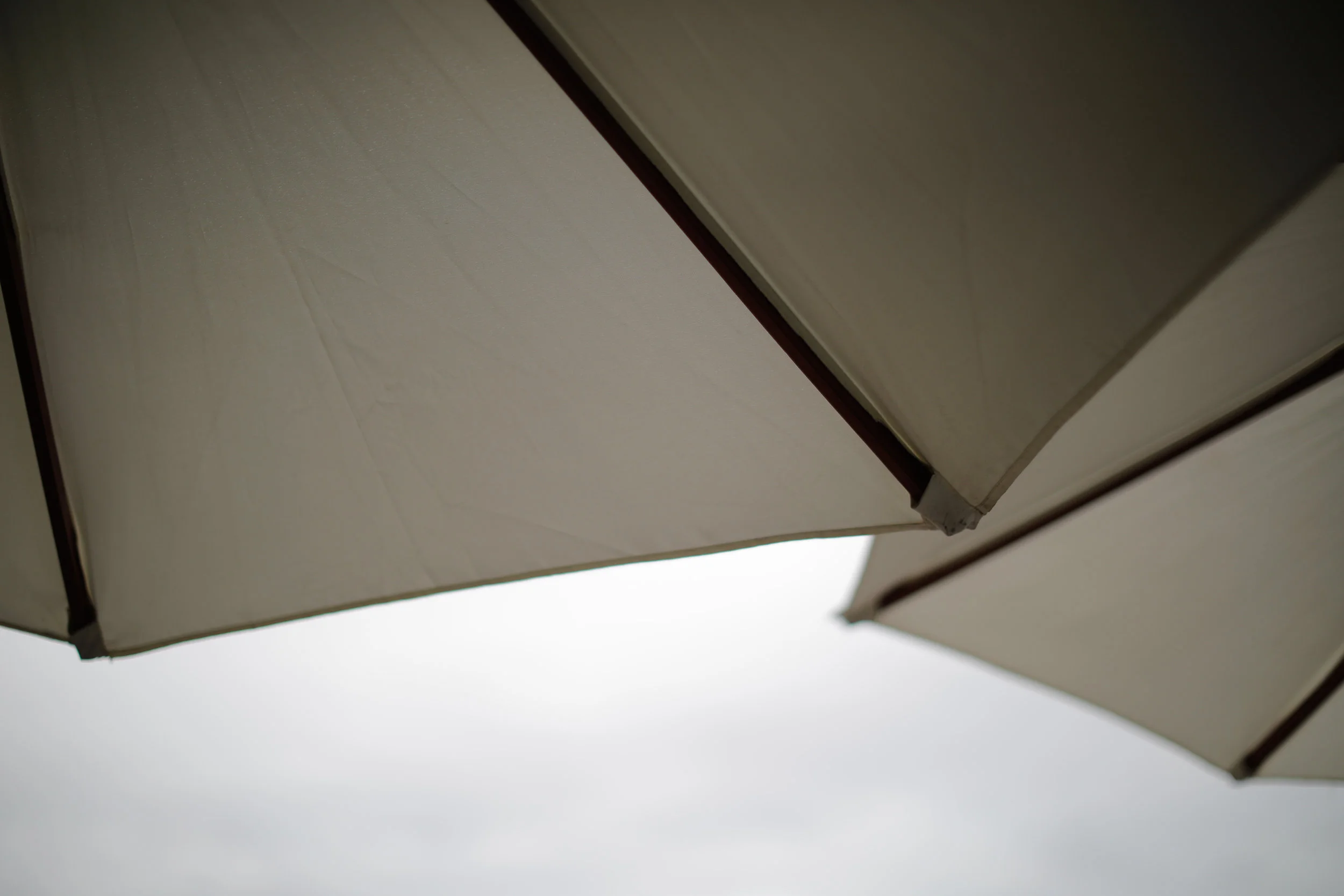 [camera][exhibition] EOS 5D Mark IV @ 東京国立近代美術館