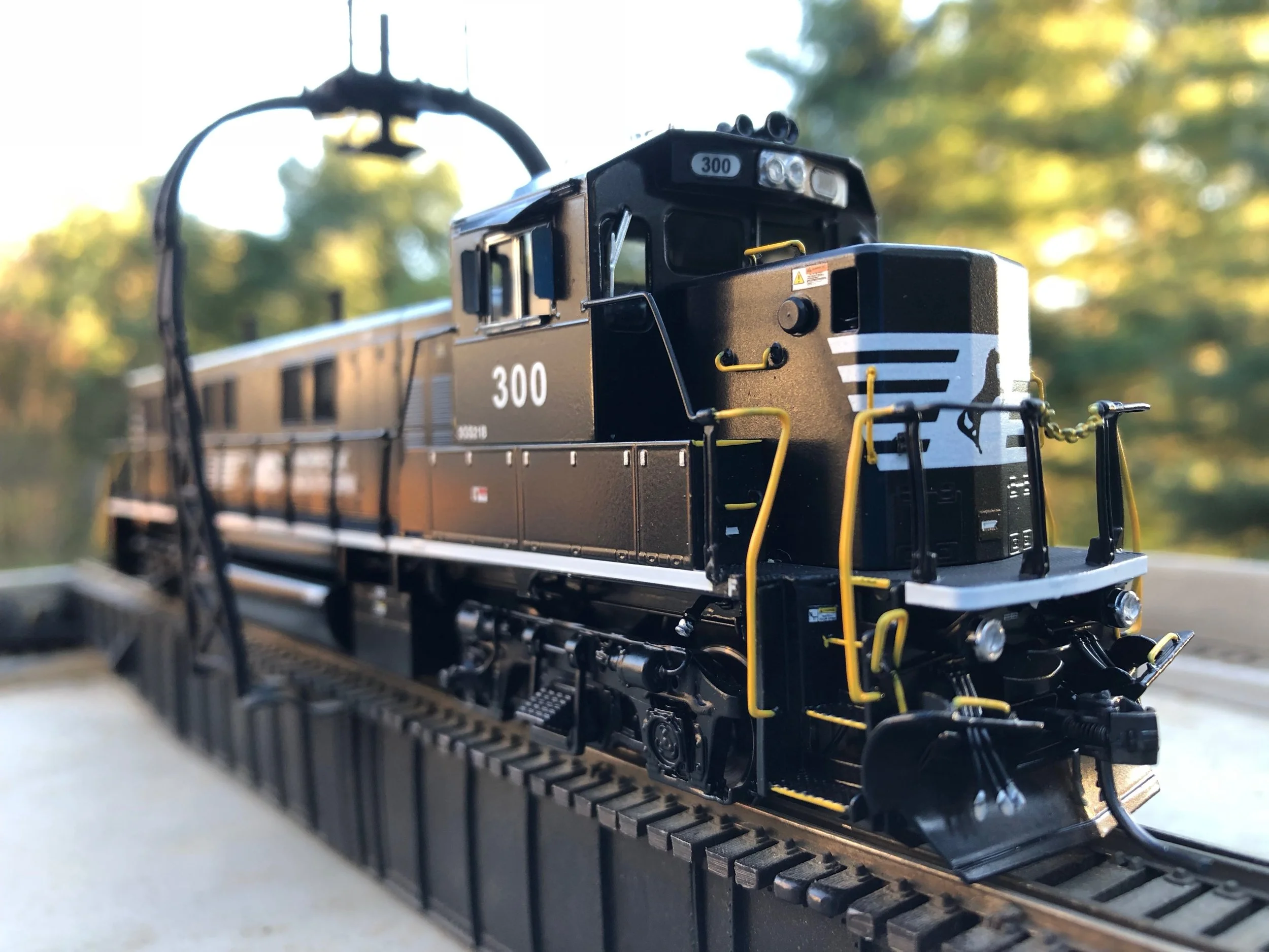 IMG_4218.JPG
