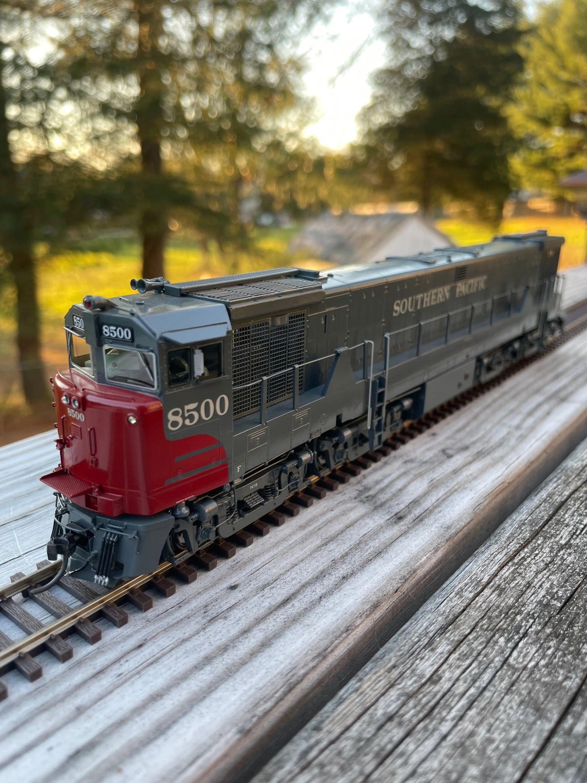 02ED7F07-22F1-4DF4-883E-EE6942C6A64F