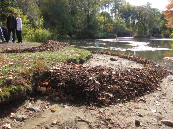 Leaves and mulch, approximately 18 feet long