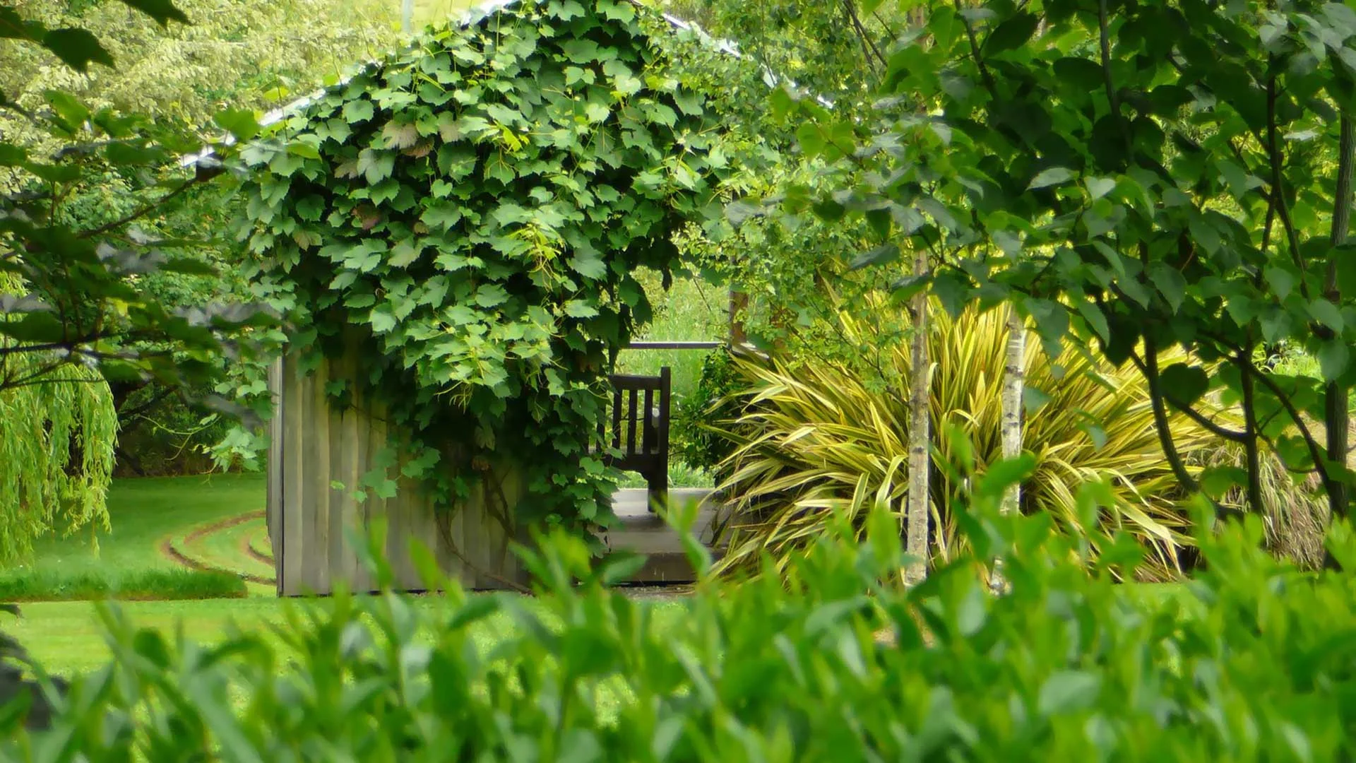wychwood.jpg