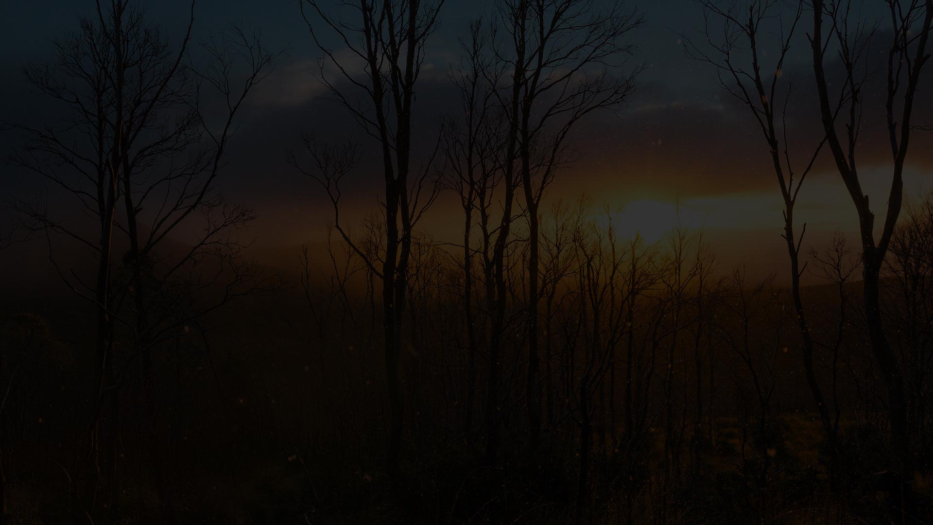 Dark-Snowing-Sunset-Tasmania.jpg