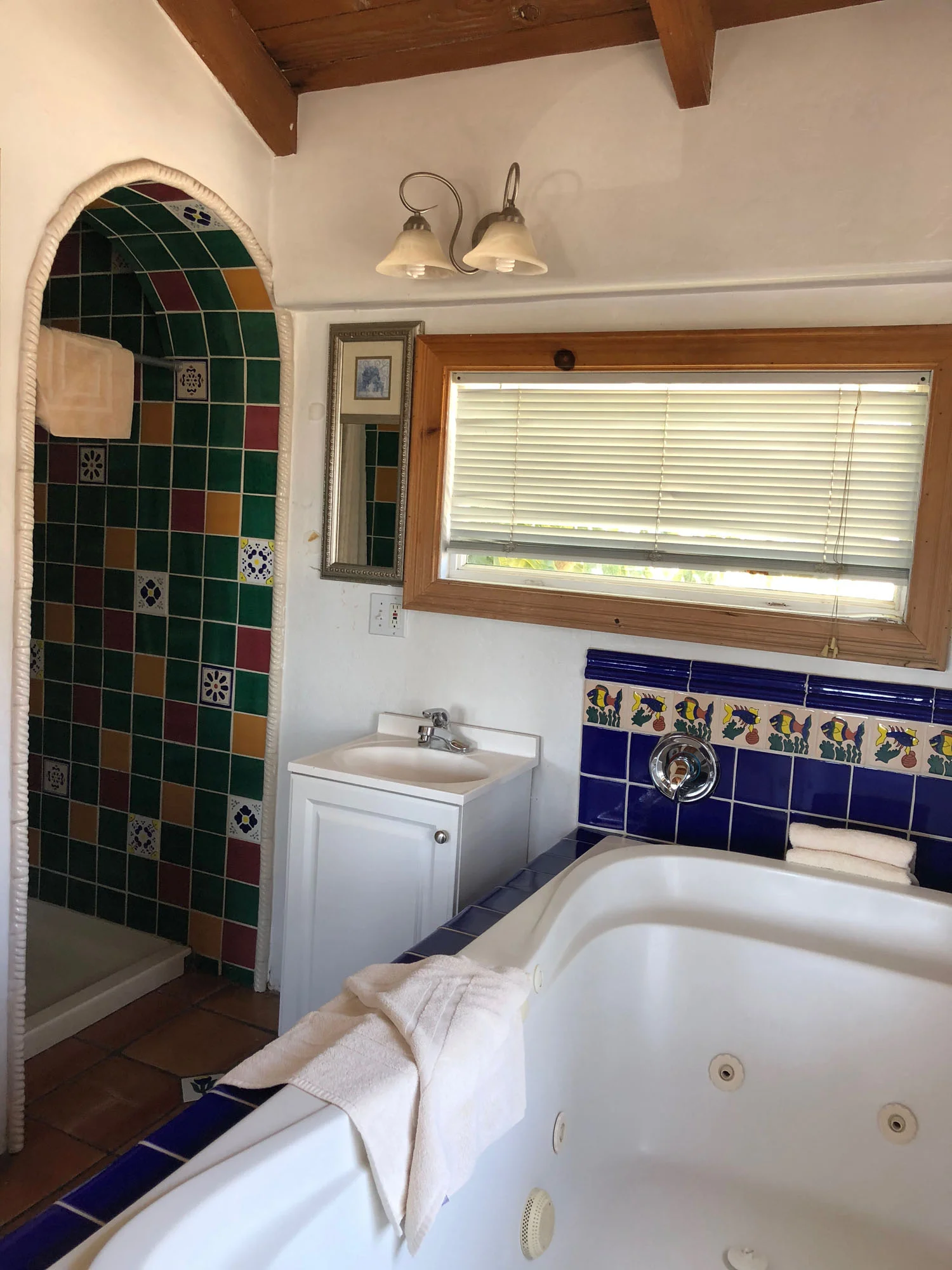 SpaTub_and_Shower_3154.jpg