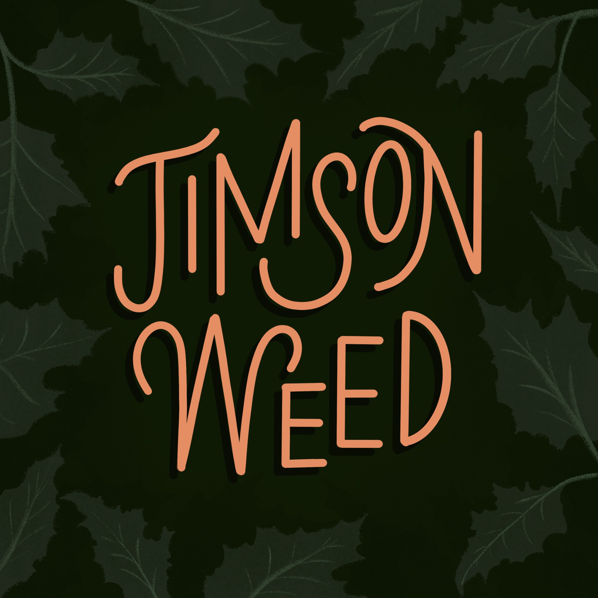 JimsonWeed.JPG