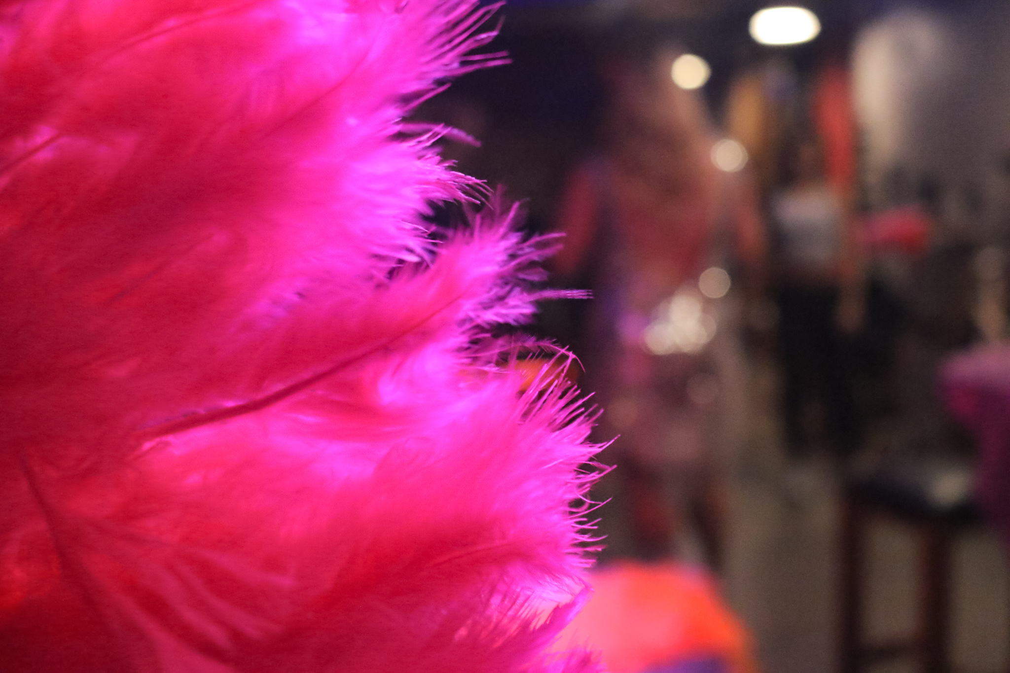 Burlesque Hens Party at Home