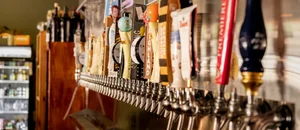 Beer Study photo
