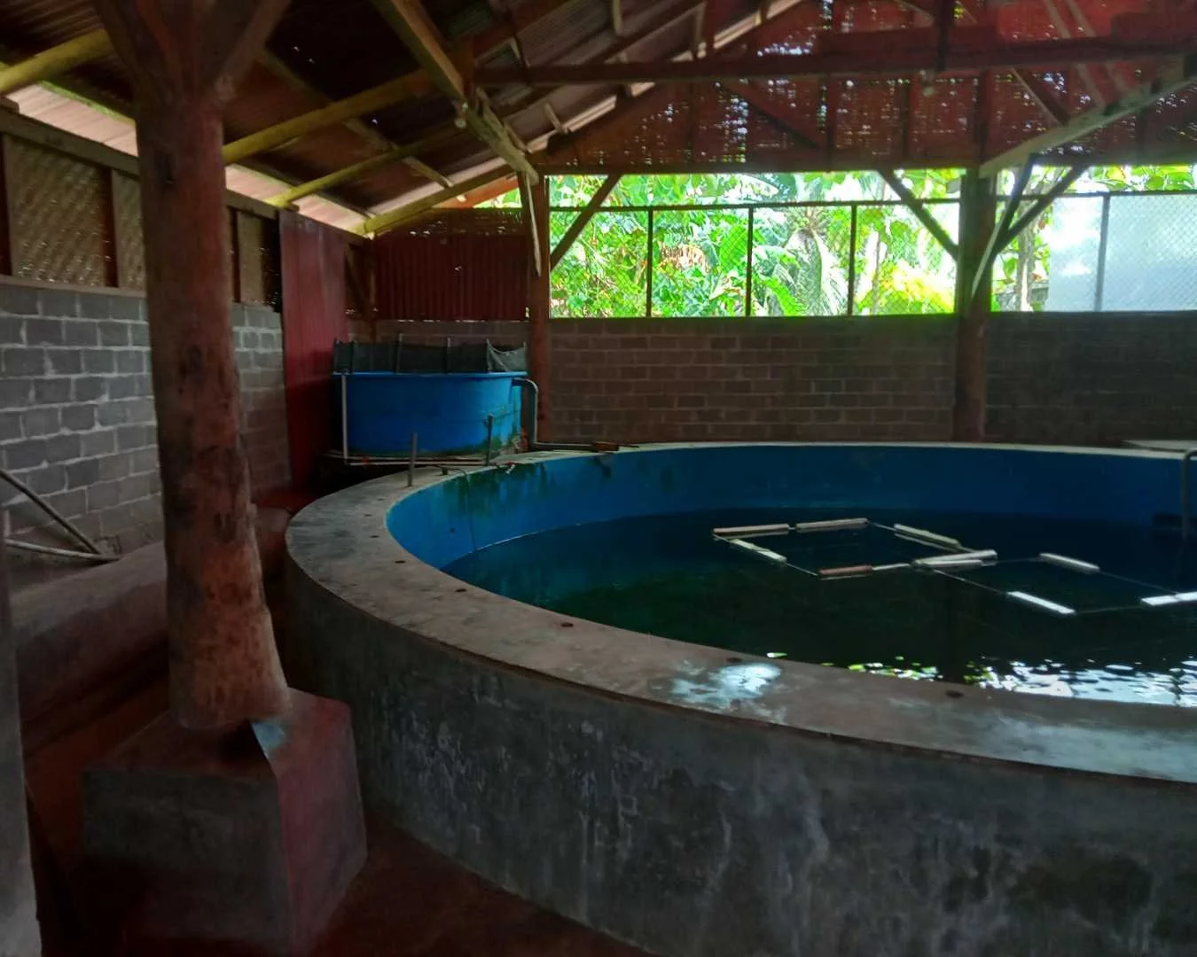 Pangandaran 6.jpg