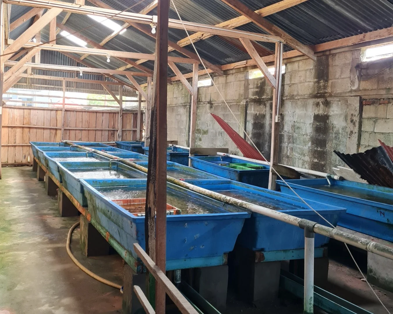 Kendari 8.jpg