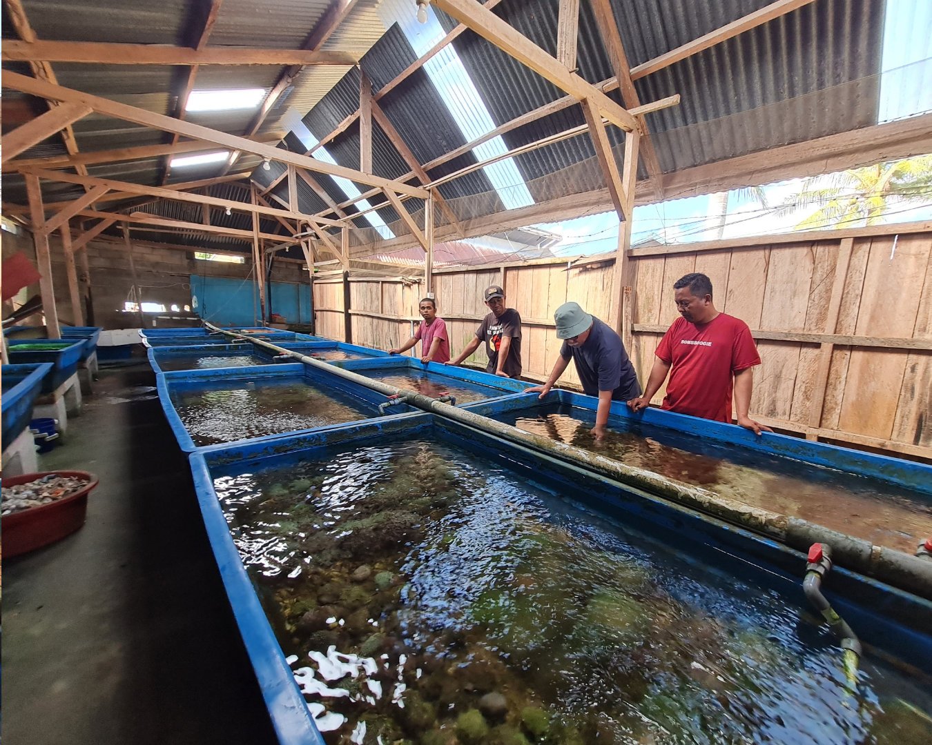 Kendari 5.jpg