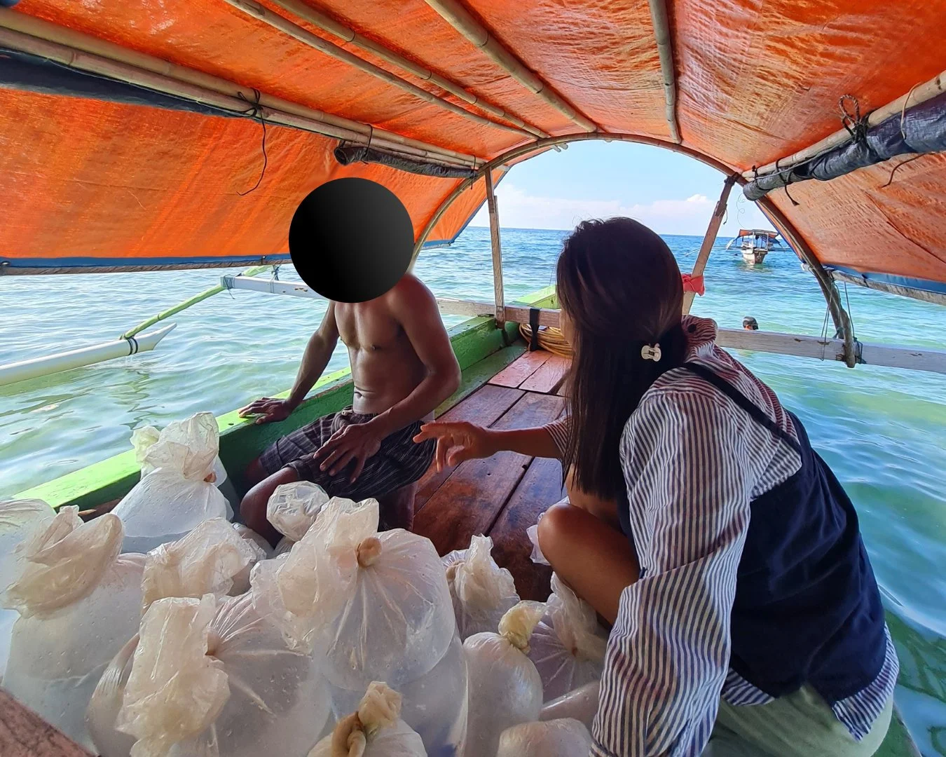 Palu 2.jpg