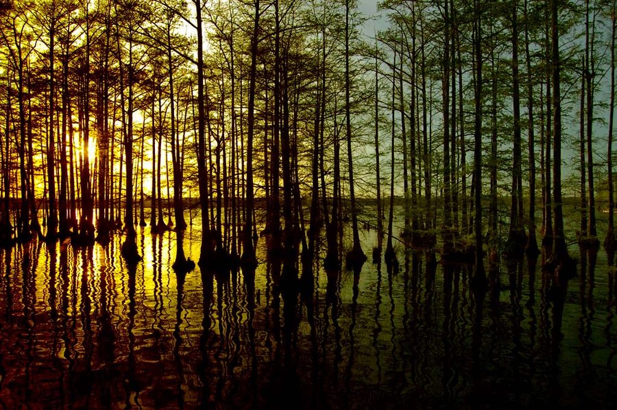 Lake Conway, Arkansas | Photography Credit
