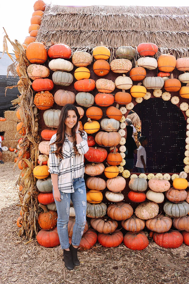 Pumpkin Queen 1 .jpg