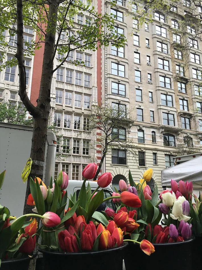 NYC 22.jpg