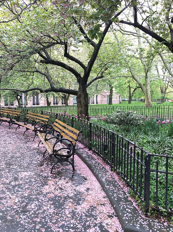 NYC 24.jpg