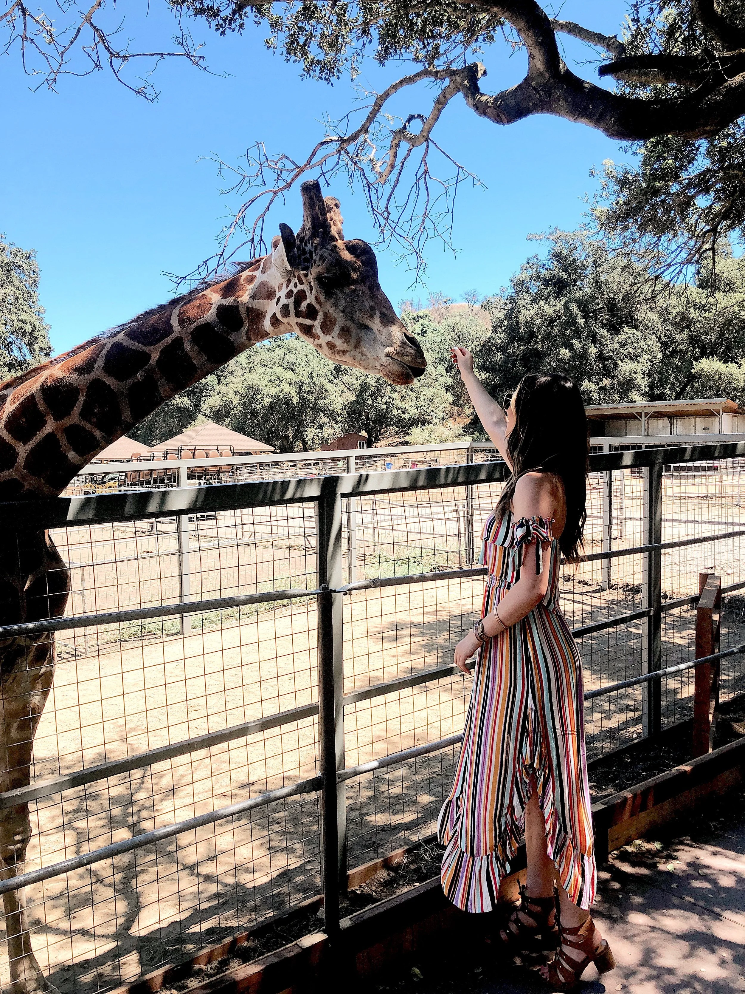 MALIBUWINESAFARI7.jpg