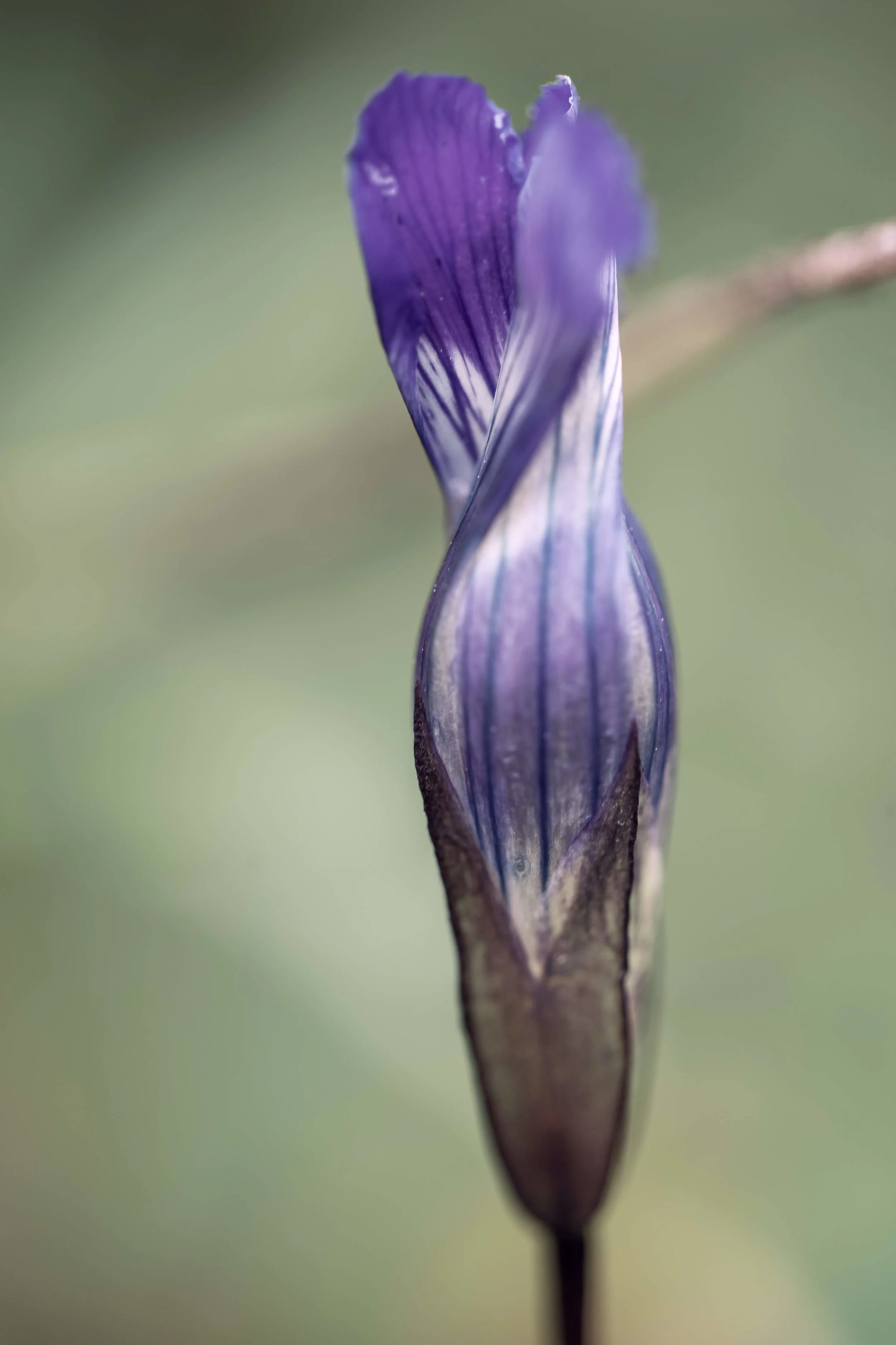 DSC05285.jpg