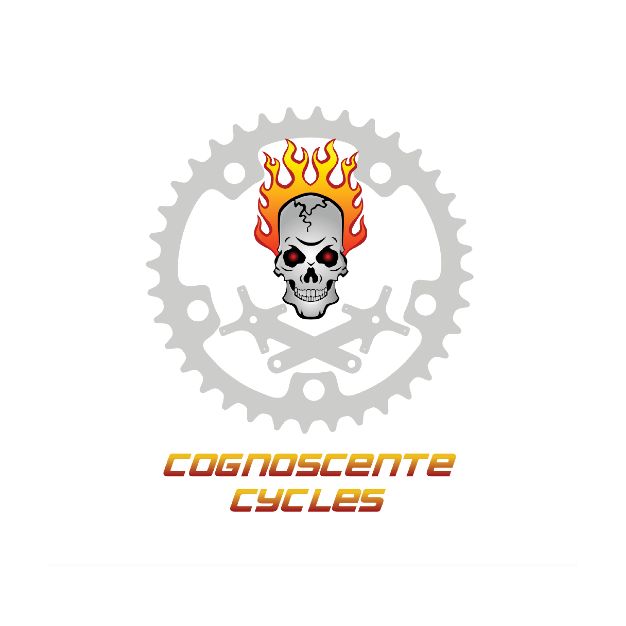 Kate-Penglase-Supporters-Cognoscente-Cycles.jpg