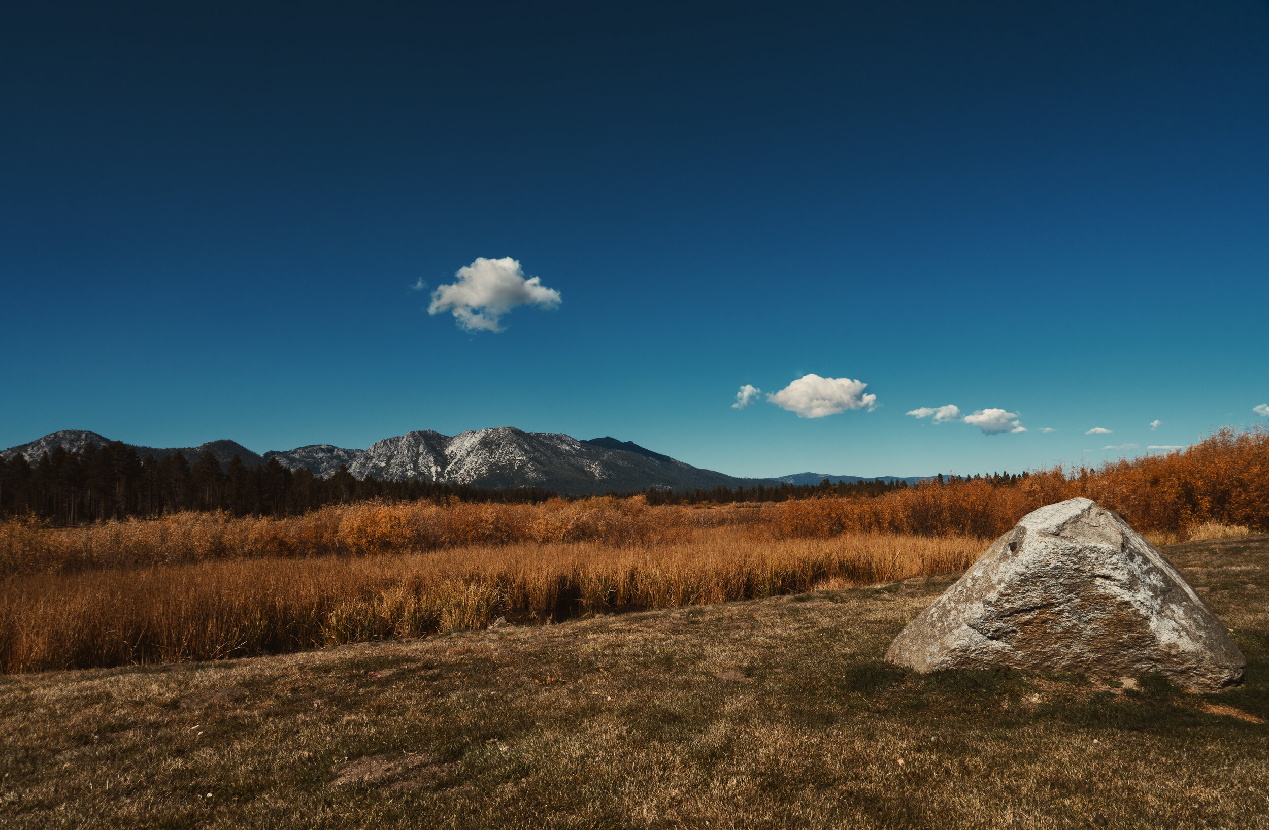 A7R00017-3.jpg